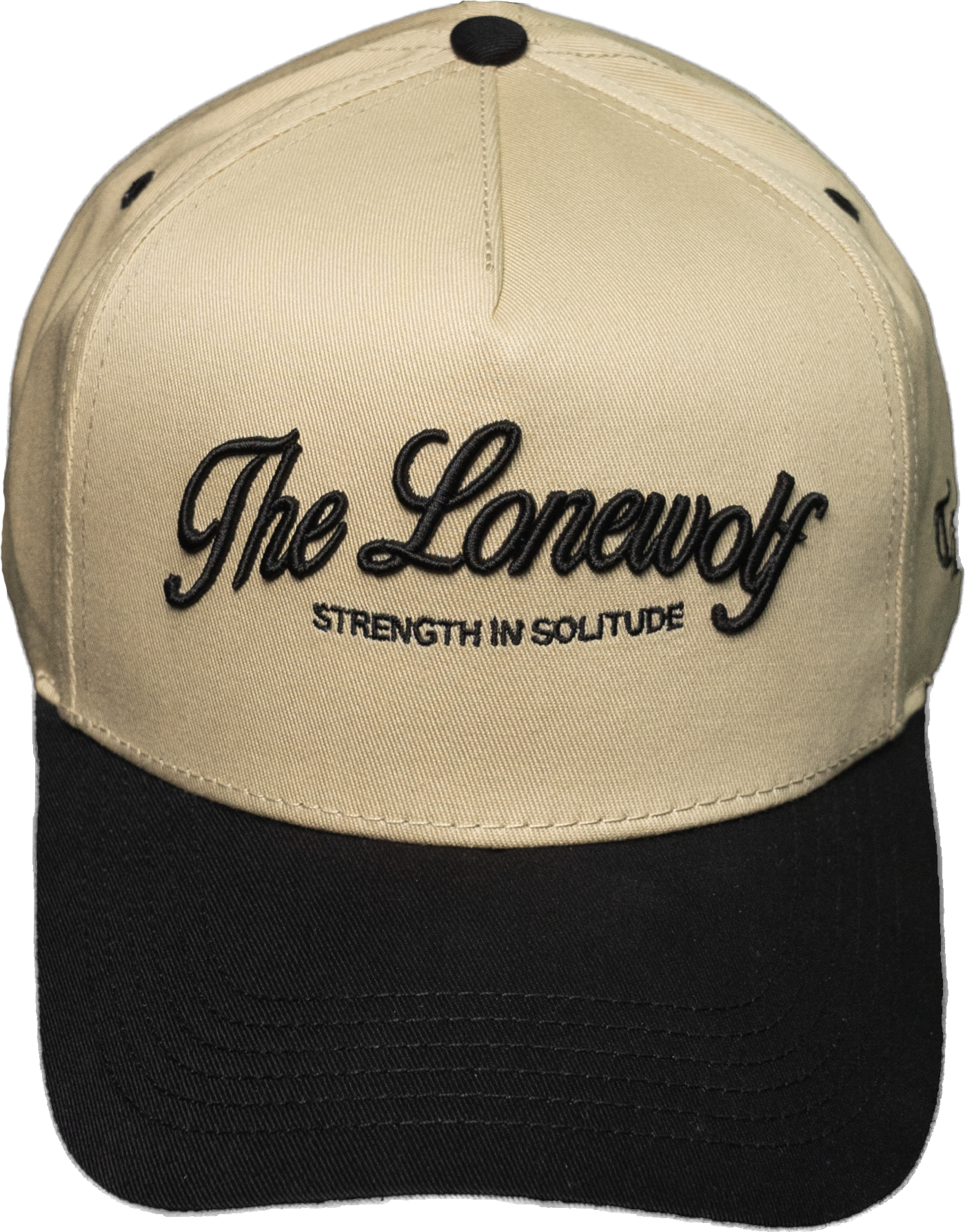 TLW BASEBALL CAP 02