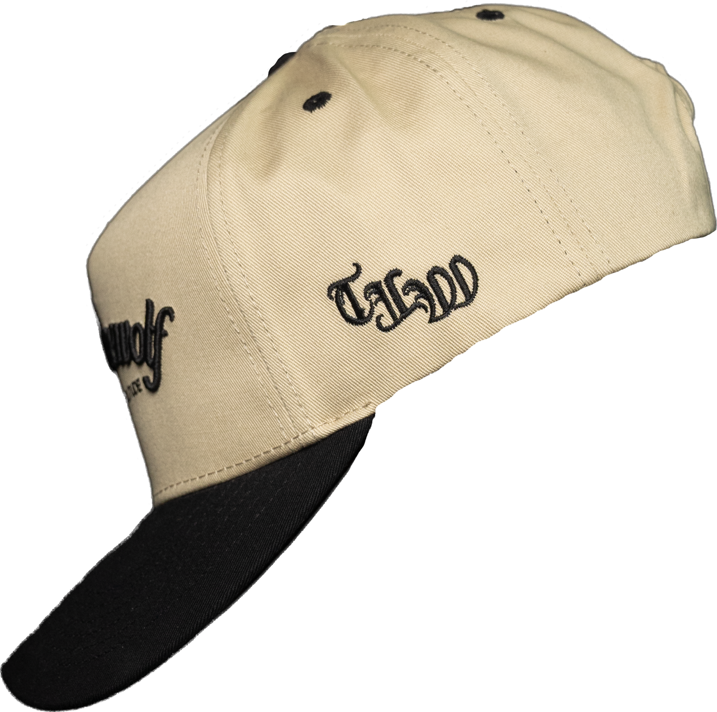 TLW BASEBALL CAP 02