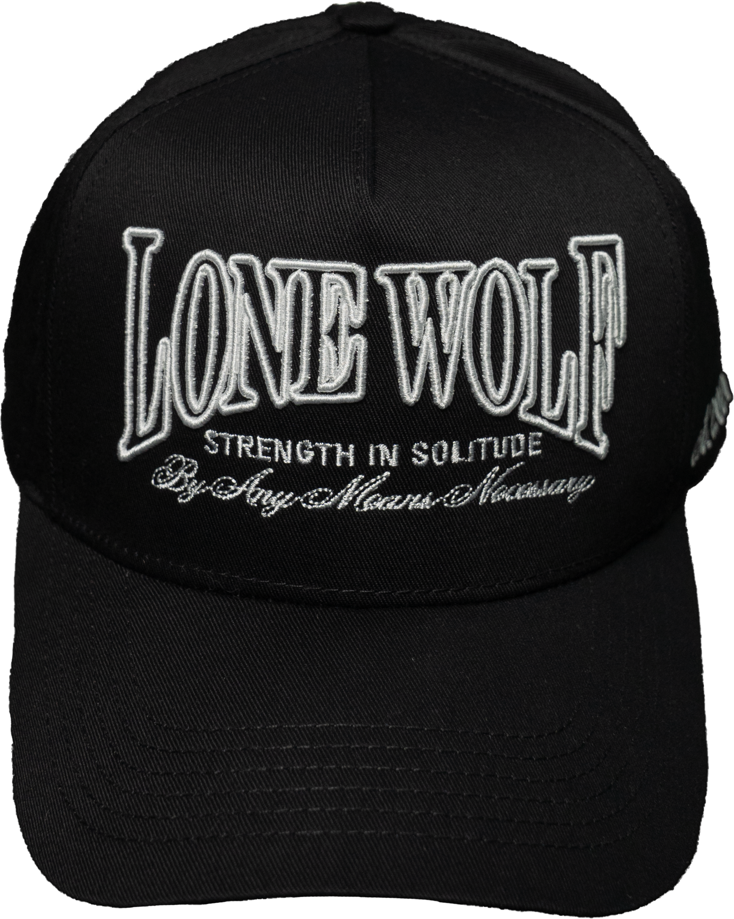 TLW BASEBALL CAP 03